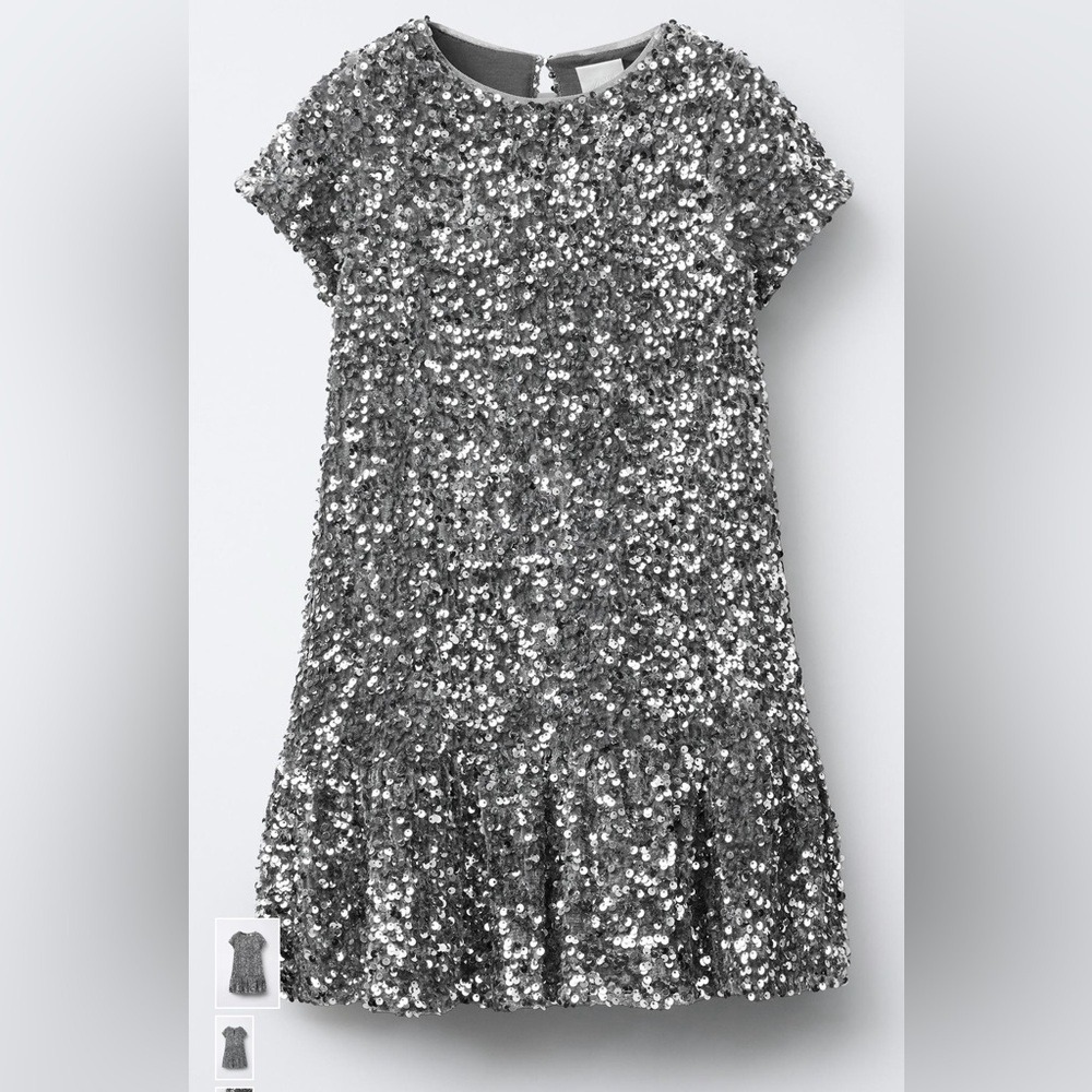 Zara ruffle sequin Dress